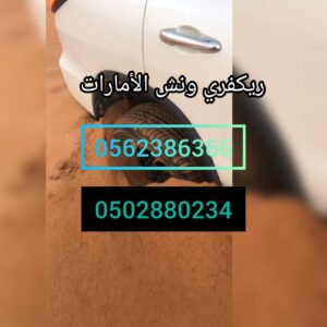 انقاذ
